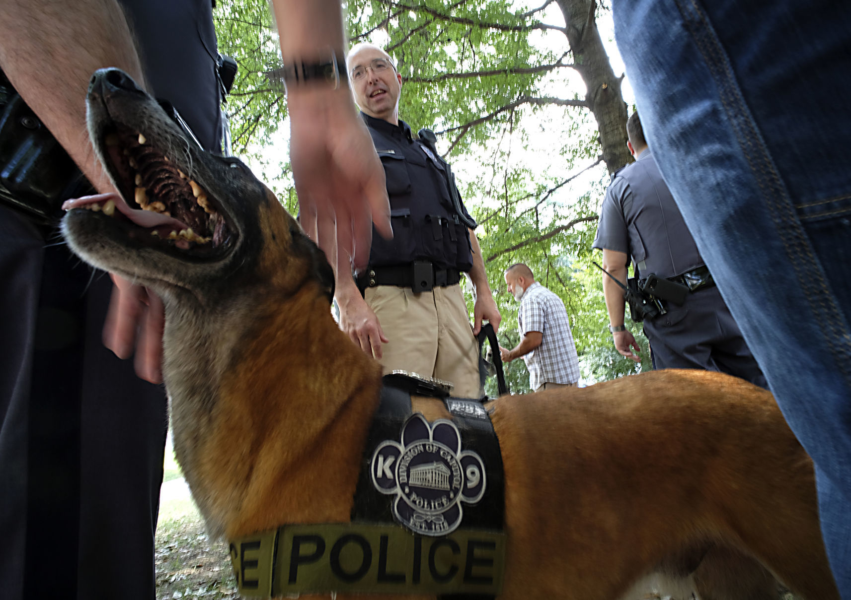 National Night Out